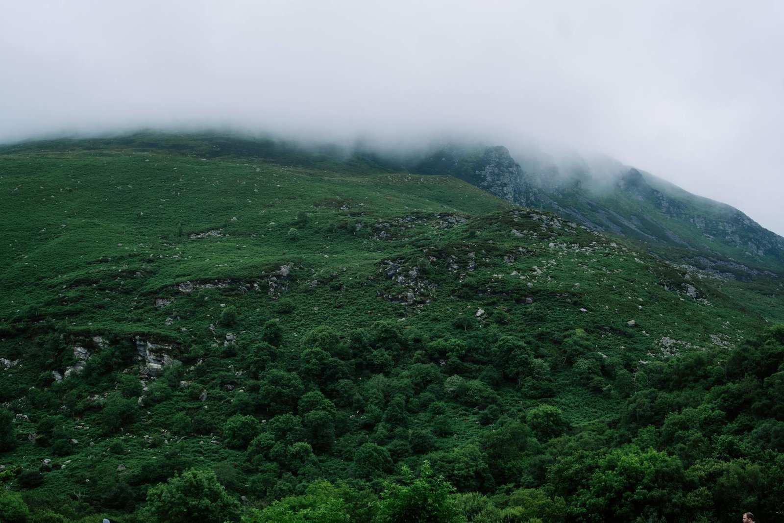 Ireland landscape