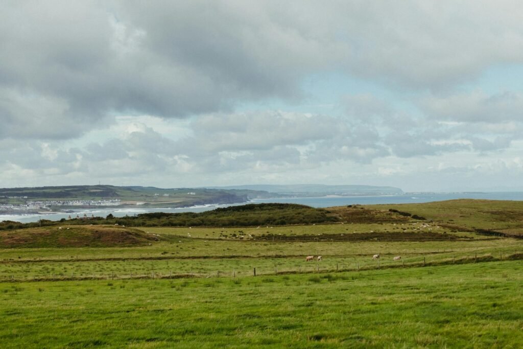 The Essence of Ireland Experience